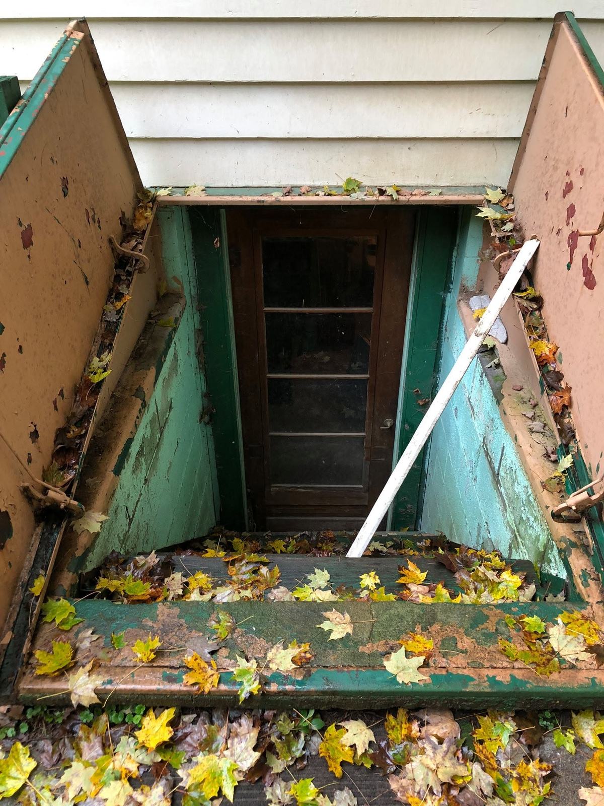 Worn green bulkhead with peeling paint and leaves on the steps